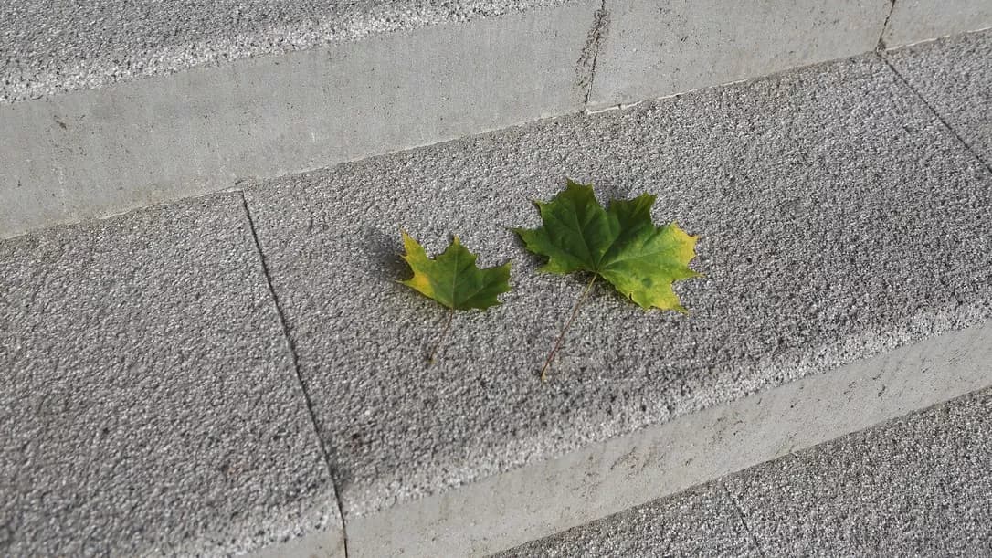 CS BETON - Schodišťový prvek DUO STEP šedá