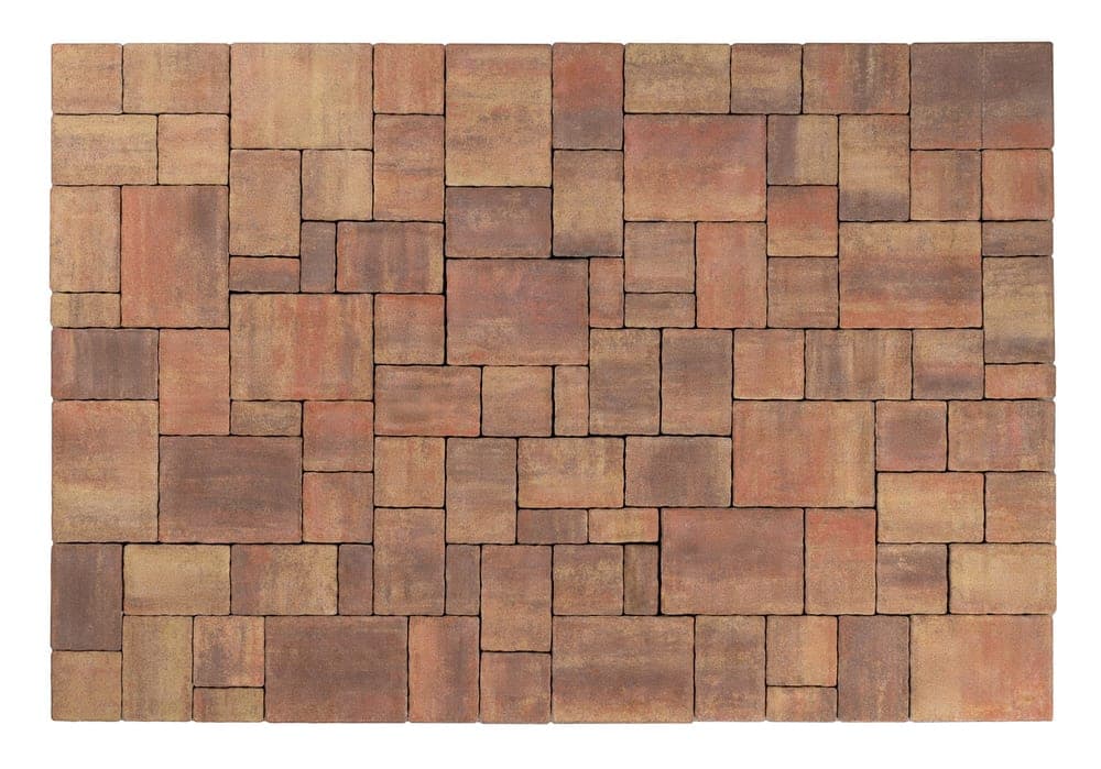 BEST-ARCHIA/8CM COLORMIX P