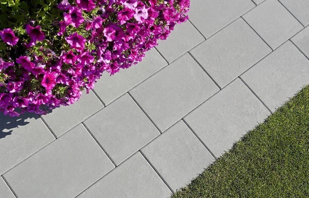 BEST-BELEZA /6CM STANDARD