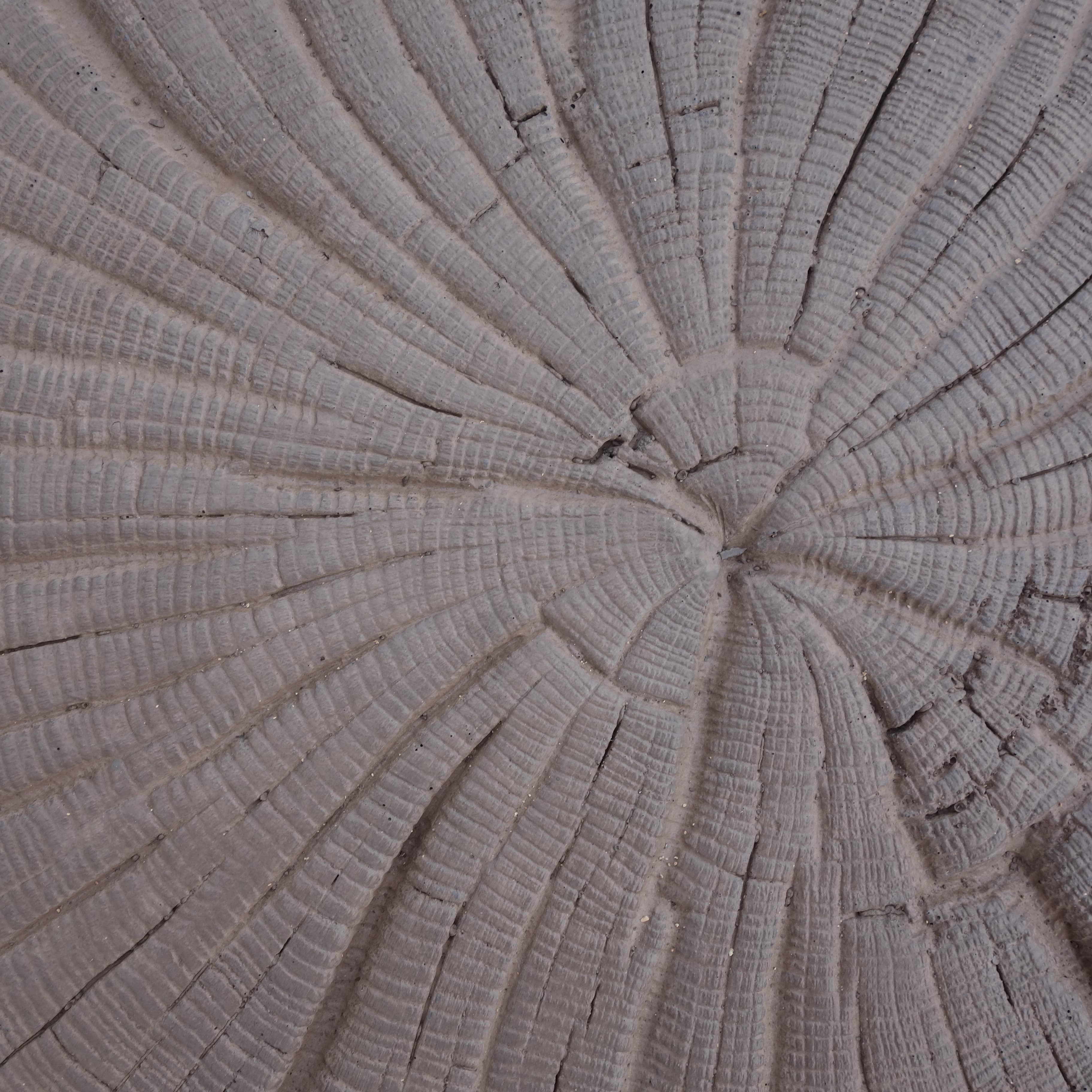PRESBETON - BARK letokruh 2 (Reliéfní - letokruh Hnědá) 45 mm