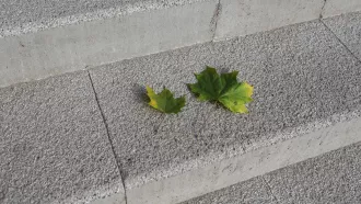 CS BETON - Schodišťový prvek DUO STEP