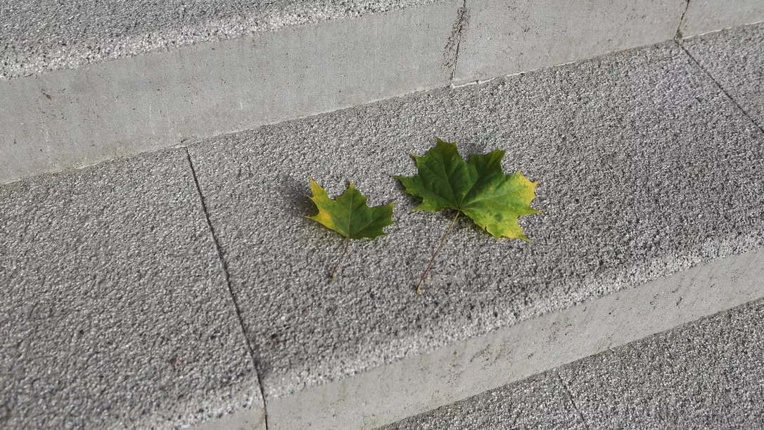 CS BETON - Schodišťový prvek DUO STEP