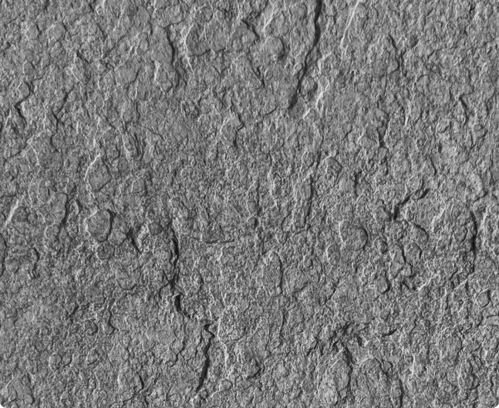 FEROBET Obrubník Ardezia 100 x 20 x 5 cm - Kovová