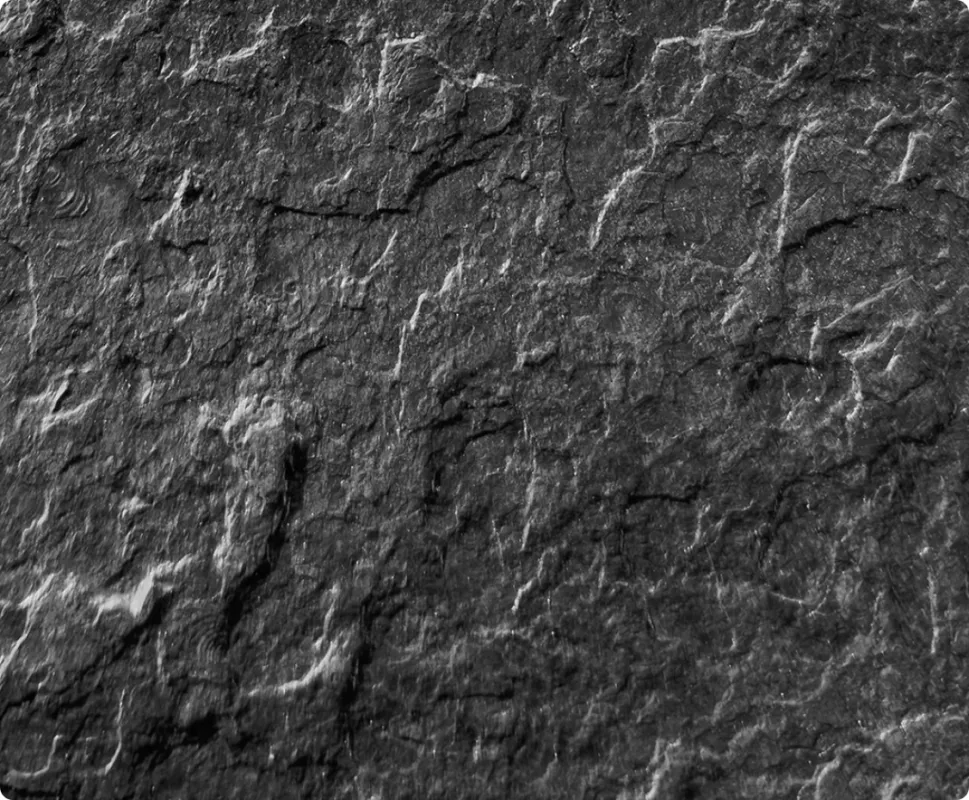 FEROBET Šlapák I. Ardezia