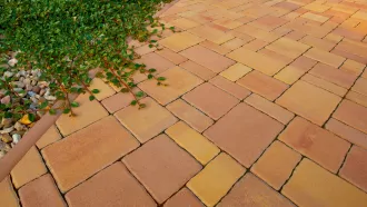 Legno