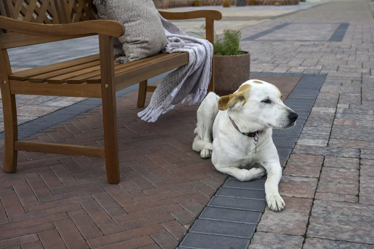 CS BETON Zámková dlažba COLETA 6 cm - mattone