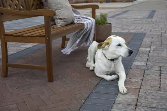 CS BETON Zámková dlažba COLETA 8 cm