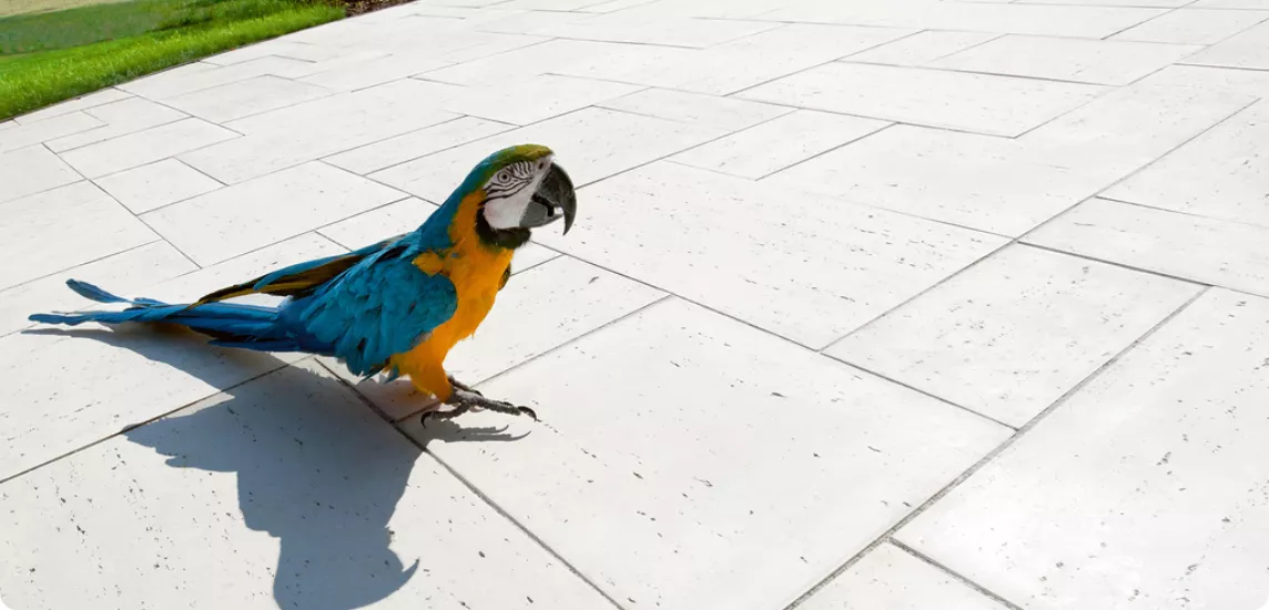 FEROBET Dlažba TRAVERTINO 90 x 60 x 4,5 cm slonovinová AKCE JARO do 31.5.2026