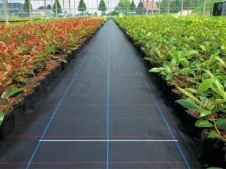 Tkaná mulčovací textílie s pruhy COVERNIT